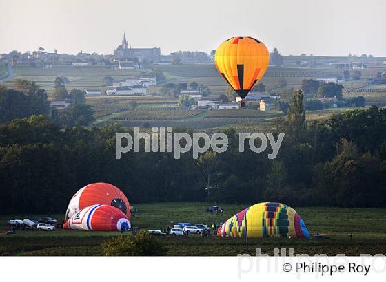 MONTGOLFIERE , ET VIGNOBLE DE MONTAGNE SAINT EMILION, GIRONDE, FRANCE. (33V39222.jpg)