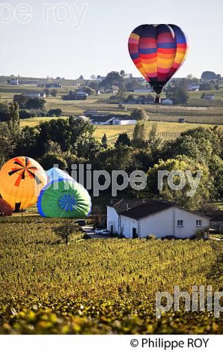 MONTGOLFIERE , ET VIGNOBLE DE MONTAGNE SAINT EMILION, GIRONDE, FRANCE. (33V39227.jpg)