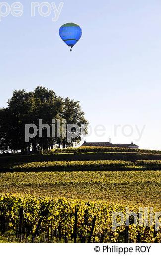 MONTGOLFIERE , ET VIGNOBLE DE MONTAGNE SAINT EMILION, GIRONDE, FRANCE. (33V39231.jpg)