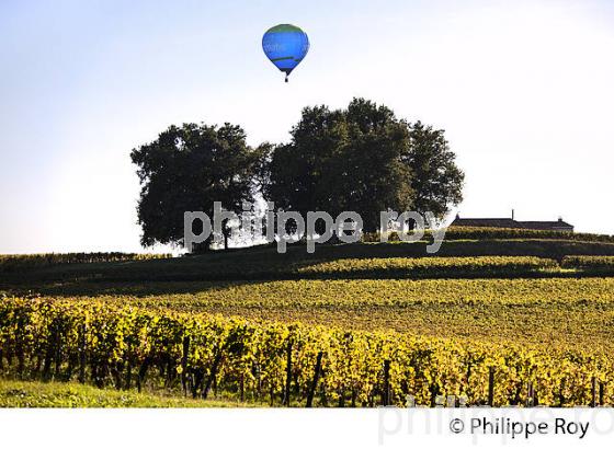 MONTGOLFIERE , ET VIGNOBLE DE MONTAGNE SAINT EMILION, GIRONDE, FRANCE. (33V39232.jpg)