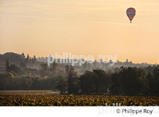 MONTGOLFIERE , ET VIGNOBLE DE MONTAGNE SAINT EMILION, GIRONDE, FRANCE. (33V39234.jpg)