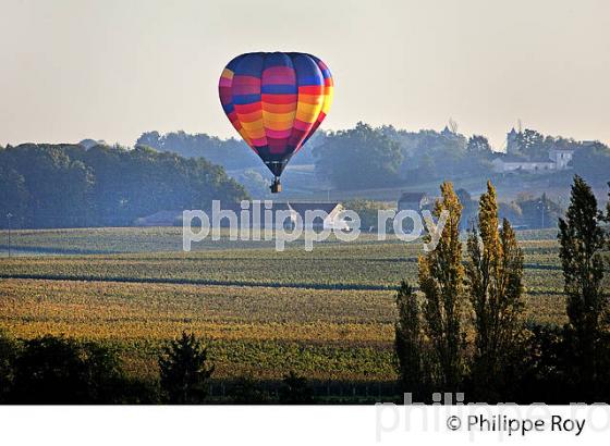 MONTGOLFIERE , ET VIGNOBLE DE MONTAGNE SAINT EMILION, GIRONDE, FRANCE. (33V39236.jpg)