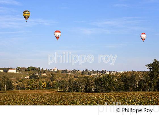 MONTGOLFIERE , ET VIGNOBLE DE LALANDE DE POMEROL, GIRONDE, FRANCE. (33V39303.jpg)