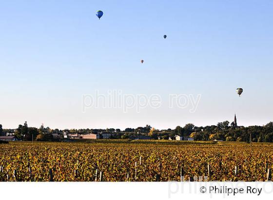 MONTGOLFIERE , ET VIGNOBLE DE LALANDE DE POMEROL, GIRONDE, FRANCE. (33V39305.jpg)