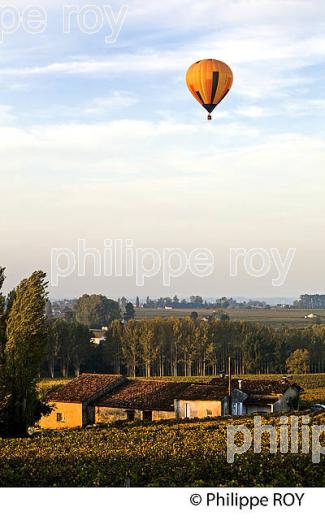 MONTGOLFIERE , ET VIGNOBLE DE MONTAGNE SAINT EMILION, GIRONDE, FRANCE. (33V39312.jpg)