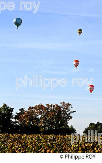 MONTGOLFIERE , ET VIGNOBLE DE LALANDE DE POMEROL, GIRONDE, FRANCE. (33V39314.jpg)