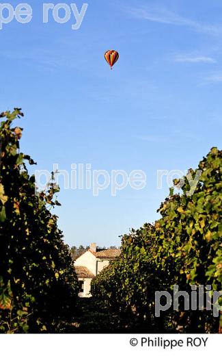 MONTGOLFIERE , ET VIGNOBLE DE  SAINT EMILION, GIRONDE, FRANCE. (33V39315.jpg)