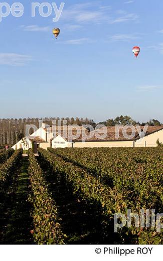 MONTGOLFIERE , ET VIGNOBLE DE  SAINT EMILION, GIRONDE, FRANCE. (33V39316.jpg)