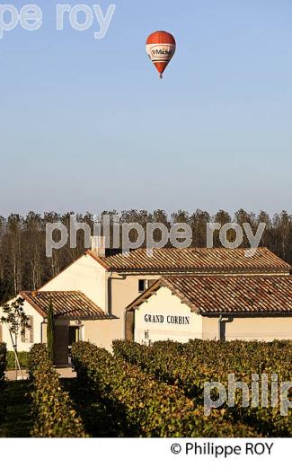 MONTGOLFIERE , ET VIGNOBLE DE  SAINT EMILION, GIRONDE, FRANCE. (33V39317.jpg)