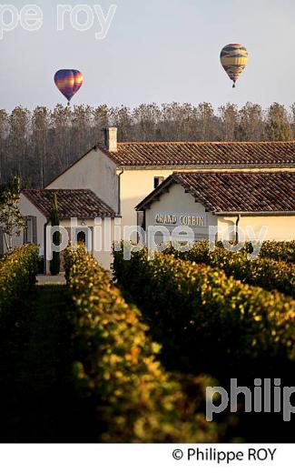 MONTGOLFIERE , ET VIGNOBLE DE  SAINT EMILION, GIRONDE, FRANCE. (33V39318.jpg)