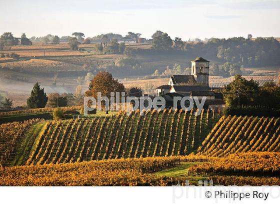 LE  VIGNOBLE  AOC  MONTAGNE SAINT-EMILION, A L' AUTOMNE,  MONTAGNE, GIRONDE, AQUITAINE. (33V39322.jpg)