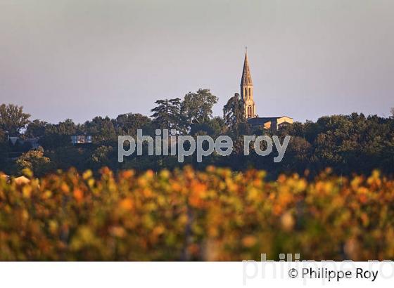 VIGNOBLE DE LA LANDE DE POMEROL ET CLOCHER , EGLISE DE NEAC, GIRONDE. (33V39610.jpg)