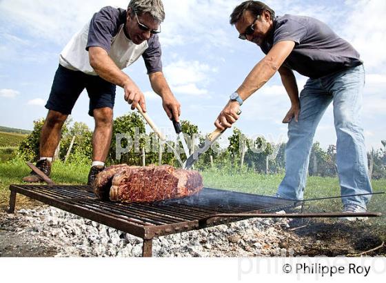 REPAS DE VENDANGE, CHATEAU FLEUR PLAISANCE, MONTAGNE SAINT EMILION, VIGNOBLE DE BORDEAUX,  MONTAGNE, GIRONDE, AQUITAINE. (33V39907.jpg)