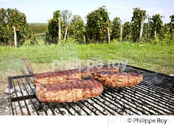 REPAS DE VENDANGE, CHATEAU FLEUR PLAISANCE, MONTAGNE SAINT EMILION, VIGNOBLE DE BORDEAUX,  MONTAGNE, GIRONDE, AQUITAINE. (33V39908.jpg)