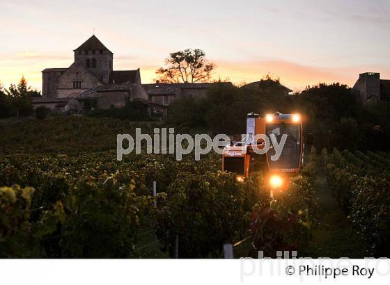 VENDANGE MACHINE DE NUIT, VIGNOBLE,  AOC  MONTAGNE SAINT EMILION, MONTAGNE, GIRONDE,AQUITAINE,  FRANCE. (33V39914.jpg)