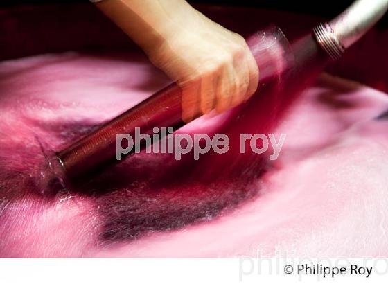 VINIFICATION DE LA VENDANGE ROUGE  EN BORDELAIS,  AOC  MONTAGNE SAINT-EMILION, MONTAGNE, GIRONDE,AQUITAINE,  FRANCE. (33V40313.jpg)