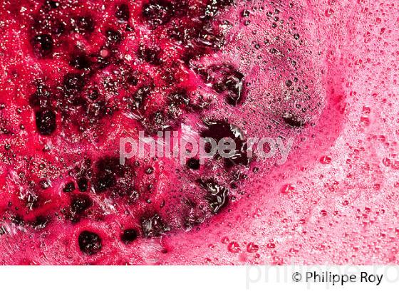 VINIFICATION DE LA VENDANGE ROUGE  EN BORDELAIS,  AOC  MONTAGNE SAINT-EMILION, MONTAGNE, GIRONDE,AQUITAINE,  FRANCE. (33V40316.jpg)