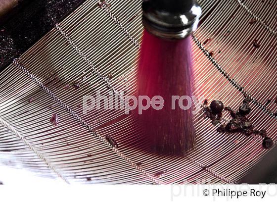 VINIFICATION, REMONTAGE D' UNE CUVE EN FERMENTATION,  AOC  MONTAGNE SAINT EMILION, GIRONDE, AQUITAINE. (33V40339.jpg)