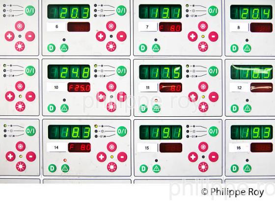 THERMOREGULATION DES CUVES DE VINIFICATION ,   AOC  MONTAGNE SAINT-EMILION, MONTAGNE, GIRONDE,AQUITAINE,  FRANCE. (33V40414.jpg)