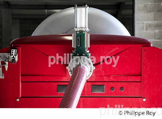 VINIFICATION, PRESSOIR PNEUMATIQUE,  ECOULAGE D' UNE CUVE,   AOC  MONTAGNE SAINT EMILION, GIRONDE, AQUITAINE. (33V40529.jpg)