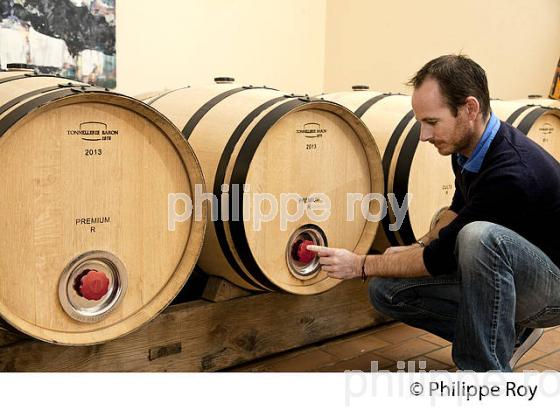 VINIFICATION EN BARRIQUE, CHATEAU LE CHATELET, AOC SAINT EMILION, VINS DE BORDEAUX. (33V40614.jpg)
