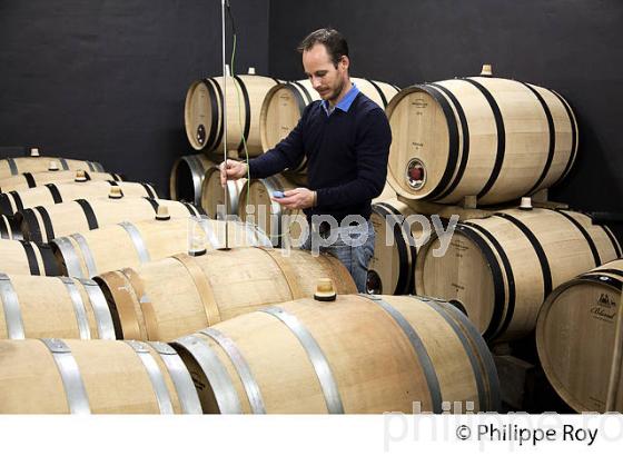 TEMPERATURE, FERMENTATION MALOLACTIQUE EN BARRIQUE, CHATEAU LE CHATELET, AOC SAINT EMIILION. (33V40617.jpg)
