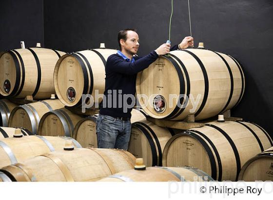 TEMPERATURE, FERMENTATION MALOLACTIQUE EN BARRIQUE, CHATEAU LE CHATELET, AOC SAINT EMIILION. (33V40619.jpg)