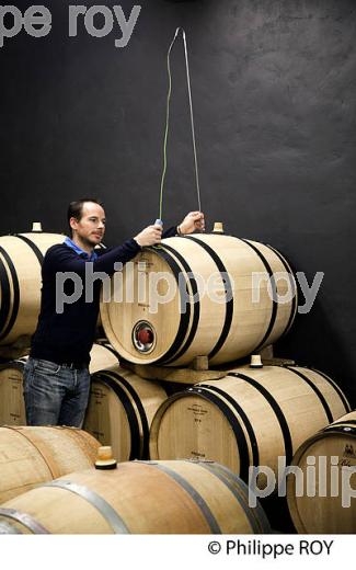 TEMPERATURE, FERMENTATION MALOLACTIQUE EN BARRIQUE, CHATEAU LE CHATELET, AOC SAINT EMIILION. (33V40621.jpg)