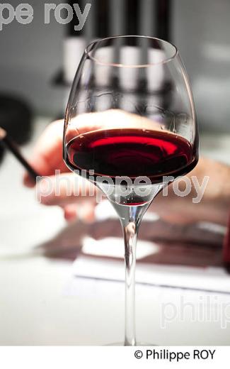 COURS DE DEGUSTATION, ECOLE DU VIN DU CIVB, BORDEAUX. (33V40708.jpg)