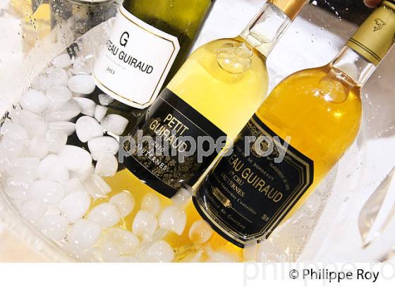 DEGUSTATION , VIN BLANC ET LIQUOREUX,  GIRONDE, AQUITAINE. (33V40718.jpg)