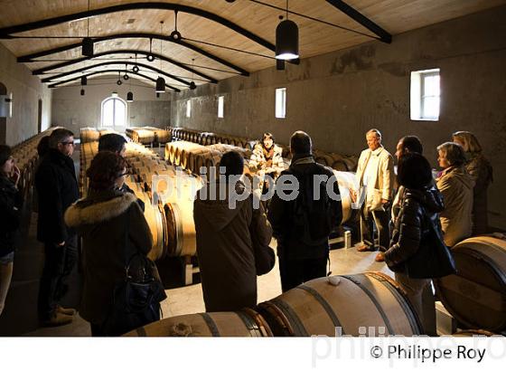 VISITE DU CHAI BARRIQUES , CHATEAU PALMER, APPELLATION MARGAUX, MEDOC, GIRONDE, AQUITAINE. (33V40736.jpg)