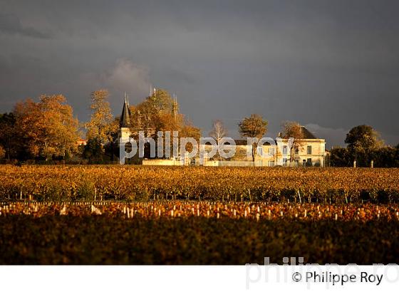 CHATEAU PALMER, APPELLATION MARGAUX, MEDOC, GIRONDE, AQUITAINE. (33V40802.jpg)