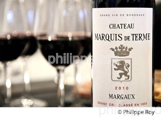 DEGUSTATION VIN, CHATEAU MARQUIS DE TERME , APPELLATION MARGAUX, MEDOC, GIRONDE, AQUITAINE. (33V40804.jpg)