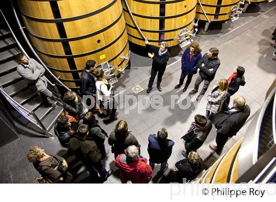 OENOTOURISME, VISITE DU CUVIER , CHATEAU DAUZAC, AOC MARGAUX, VIN DU MEDOC, GIRONDE, AQUITAINE. (33V40831.jpg)