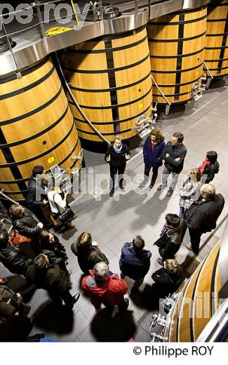 OENOTOURISME, VISITE DU CUVIER , CHATEAU DAUZAC, AOC MARGAUX, VIN DU MEDOC, GIRONDE, AQUITAINE. (33V40832.jpg)