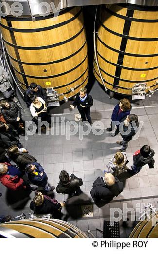 OENOTOURISME, VISITE DU CUVIER , CHATEAU DAUZAC, AOC MARGAUX, VIN DU MEDOC, GIRONDE, AQUITAINE. (33V40833.jpg)