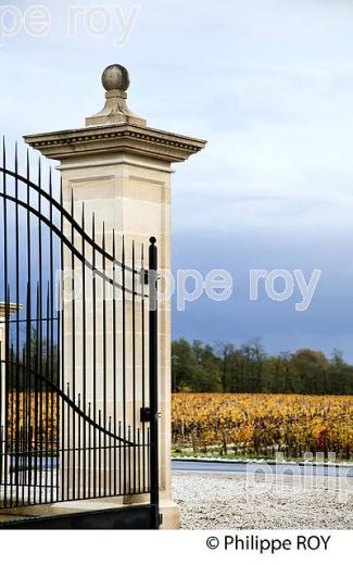 CHATEAU DAUZAC, AOC MARGAUX, VIN DU MEDOC, GIRONDE, AQUITAINE. (33V40836.jpg)
