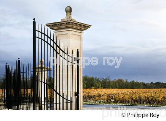 CHATEAU DAUZAC, AOC MARGAUX, VIN DU MEDOC, GIRONDE, AQUITAINE. (33V40837.jpg)