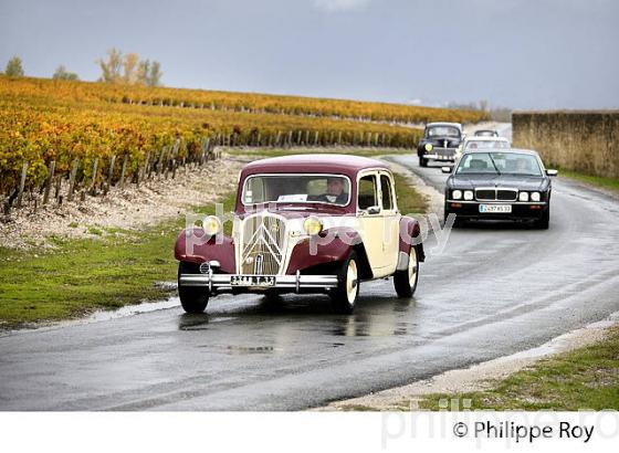 SORTIE DE VOITURES ANCIENNES DANS LE VIGNOBLE DE MARGAUX, MEDOC, GIRONDE, AQUITAINE. (33V40910.jpg)