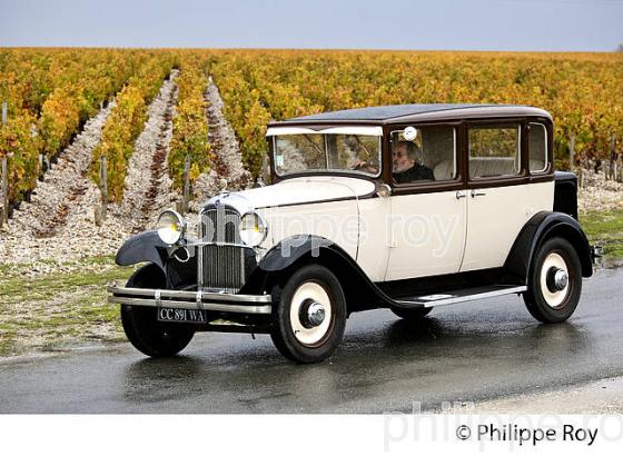 SORTIE DE VOITURES ANCIENNES DANS LE VIGNOBLE DE MARGAUX, MEDOC, GIRONDE, AQUITAINE. (33V40912.jpg)