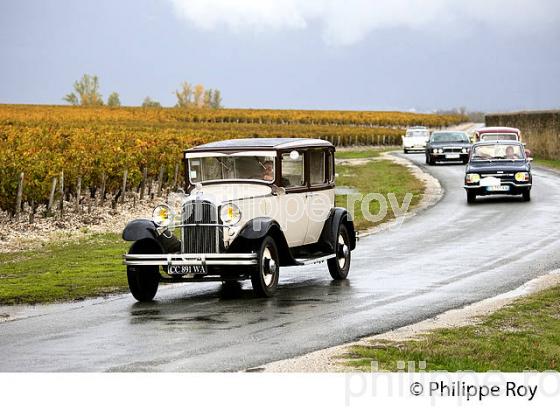 SORTIE DE VOITURES ANCIENNES DANS LE VIGNOBLE DE MARGAUX, MEDOC, GIRONDE, AQUITAINE. (33V40913.jpg)