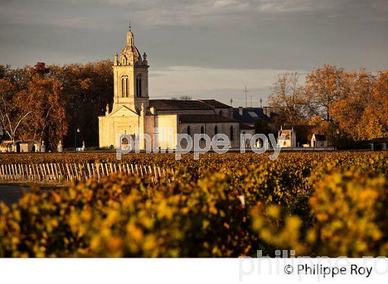 VIGNOBLE ET EGLISE DE  MARGAUX, MEDOC, GIRONDE, AQUITAINE. (33V40918.jpg)