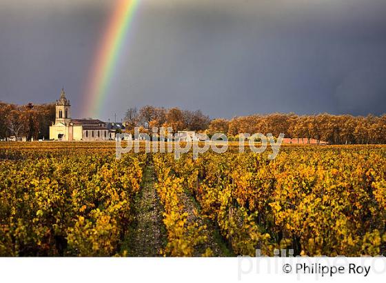 VIGNOBLE ET EGLISE DE  MARGAUX, MEDOC, GIRONDE, AQUITAINE. (33V40919.jpg)