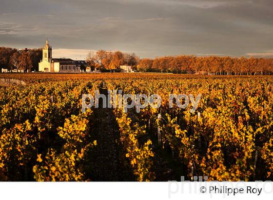 VIGNOBLE ET EGLISE DE  MARGAUX, MEDOC, GIRONDE, AQUITAINE. (33V40920.jpg)