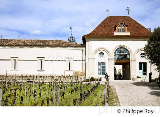CHATEAU ANGELUS , SAINT EMILION GRAND CRU CLASSE, VIGNOBLE BORDELAIS, GIRONDE. (33V41116.jpg)