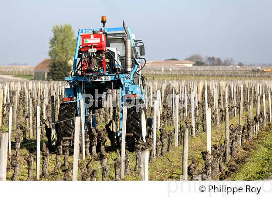 TRAVAIL DE SOL , EN HIVER, TRACTEUR ENJAMBEUR,   SAINT EMILION, GIRONDE. (33V41125.jpg)
