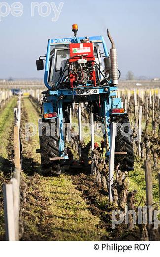 TRAVAIL DE SOL , EN HIVER, TRACTEUR ENJAMBEUR,   SAINT EMILION, GIRONDE. (33V41127.jpg)