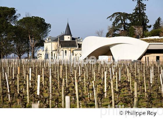 LE CHATEAU CHEVAL BLANC EN HIVER   SAINT EMILION, GIRONDE. (33V41131.jpg)