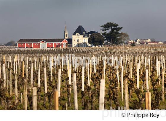 CHATEAU L' EVANGILE ET VIGNOBLE DE POMEROL EN HIVER, GIRONDE. (33V41132.jpg)