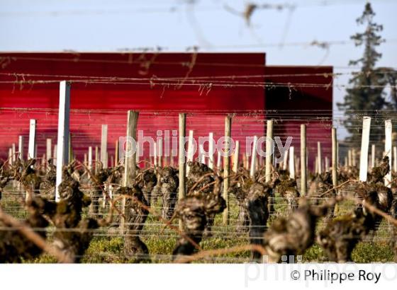 CHAI DU CHATEAU LA DOMINIQUE, JEAN NOUVEL , ARCHITECTE, VIGNOBLES FAYAT,   SAINT EMILION, GIRONDE. (33V41209.jpg)